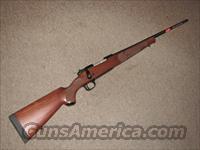 WINCHESTER MODEL 70 FEATHERWEIGHT .243 WIN - NEW!  Winchester Rifles - Modern Bolt/Auto/Single > Model 70 > Post-64