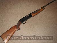 WINCHESTER 1200 20 GAUGE  Winchester Shotguns - Modern > Pump Action > Hunting