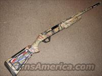 BENELLI SUPER BLACK EAGLE II 12 GA - APG CAMO - NEW!  Benelli Shotguns > Sporting