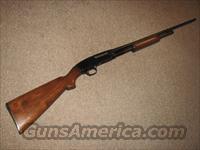 WINCHESTER MODEL 42 .410 GAUGE - Mfg 1951  Winchester Shotguns - Modern > Pump Action > Hunting