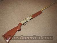 ARMALITE AR-17 GOLDEN GUN 12 GA  A Misc Shotguns