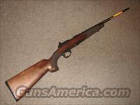 BROWNING T-BOLT RIFLE .22 LR - NEW!  Browning Rifles > Bolt Action > Hunting > Blue