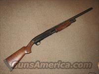 BROWNING BPS WATERFOWL 10 GA.  Browning Shotguns > Pump Action > Hunting