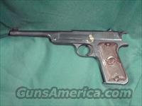Reising Target Auto  22LR  R Misc Pistols