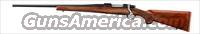 Ruger 37131, Hawkeye Left Hand, 7mm Rem Mag, Blue  Guns > Rifles > Ruger Rifles > Model 77