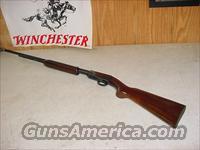 3837 Winchester 61 22 s l lr 98%  Winchester Rifles - Modern Pump