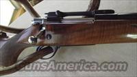 Browning Safari  Browning Rifles > Bolt Action > Hunting > Blue