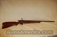 Mossberg 173 .410 Bolt Action Shotgun  Mossberg Shotguns > Autoloaders