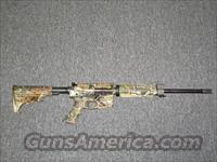 Smith & Wesson M&P 15  Smith & Wesson Rifles > M&P