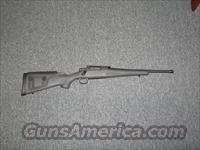 Advanced Armament Corp. Micrp 7  A Misc Rifles