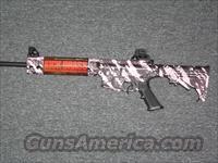 Smith & Wesson M&P15-22  Smith & Wesson Rifles > M&P