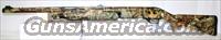 WINCHESTER SXP NWTF 12GA 24" XTRA FULL MOSSY OAK INFINITY CAMO NEW IN BOX  Winchester Shotguns - Modern > Pump Action > Hunting
