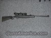 Stoeger X10 w/4 x 32 fixed-power scope  Air Rifles - Pistols > Adult High Velocity