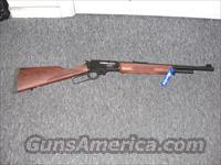 1895 G  Marlin Rifles > Modern > Lever Action
