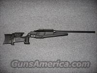 Sig+sauer+blaser+tactical+2
