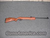 Stoeger X5  Air Rifles - Pistols > Adult High Velocity