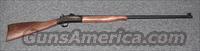 1871 Buffalo Classic  Harrington & Richardson Rifles