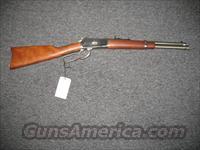 92 w/stainless bbl.  .45lc  Rossi Rifles > Cowboy