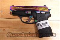 P239 rainbow slide  Sig - Sauer/Sigarms Pistols > P239