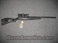 Stoeger X-20S w/4x32 scope .22cal  Air Rifles - Pistols > Adult High Velocity