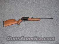 Circuit Judge  Rossi Shotguns