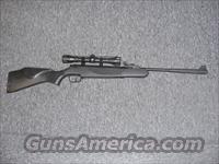Stoeger X5 w/4x32 scope  Air Rifles - Pistols > Adult High Velocity