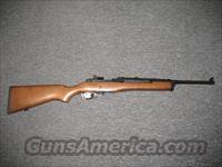 Mini 14 Ranch Rifle (.223)  Ruger Rifles > Mini-14 Type