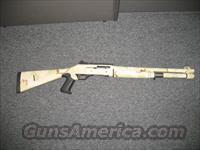 M4 (desert camo, 12 gauge)  Benelli Shotguns > Tactical