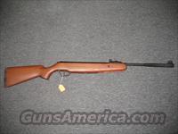 Stoeger X10 .22cal, hardwood stock  Air Rifles - Pistols > Adult High Velocity