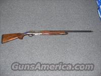 AL 391 Teknys Gold Sporting  Beretta Shotguns > Autoloaders > Trap/Skeet