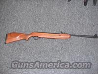 Stoeger X20 w/hardwood stock (30020)  Air Rifles - Pistols > Adult High Velocity