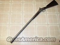 F. TAYLOR 10GA  MUZZLELOADER SHOTGUN  Muzzleloading Pre-1899 Shotguns