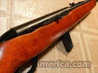 MOSSBERG 250C SEMI AUTO .22LR  Mossberg Rifles > Plinkster Series