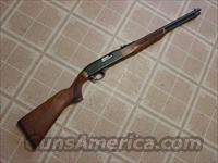 WINCHESTER 190 AUTO .22LR  Winchester Rifles - Modern Bolt/Auto/Single > Autoloaders