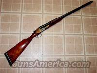 ANTONIO ZOLI ATLAS BOXLOCK EJECTORGUN  Antonio Zoli Shotguns