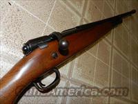 HIGH STANDARD HIGGINS 12 GA BOLT SHOTGUN  High Standard Shotguns