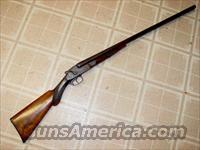 AMERICAN ARMS CO. DBLE 12 GA SIDE COCKER  American Arms Shotguns