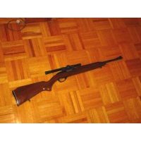 Marlin 99 M1 .22cal.  Marlin Rifles