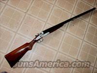 ANTONIO ZOLI 12 GA HAMMER SHOTGUN  Antonio Zoli Shotguns