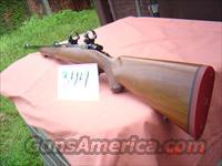 Ruger 77RS 35whelen cal. bolt   Ruger Rifles > Model 77
