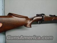 CUSTOM FN BELGM. ACTION 308 X1.5 VARMINT RIFLE  FNH - Fabrique Nationale (FN) Rifles > Bolt action > Hunting