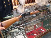 WINCHESTER MODEL 50 12 GA  Winchester Shotguns - Modern > Autoloaders > Hunting