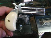 AMERICAN ARMS DERRINGER 38 CAL STAINLESS  American Arms Pistols