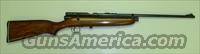 CROSSMAN - MODEL 160  Air Rifles - Pistols > CO2 Rifle