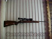 Browning, Model Safari, Cal.308  Browning Rifles > Bolt Action > Hunting > Blue