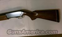  WINCHESTER SUPER X MODEL ONE 12GA SHOTGUNS  Winchester Shotguns - Modern > Autoloaders > Hunting