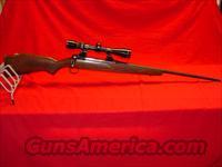SAVAGE 110 - 7MM MAG-WOOD  Savage Rifles > Standard Bolt Action > Sporting