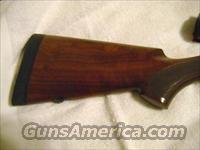 Winchester model 70 375 H&H Safari express classic  Winchester Rifles - Modern Bolt/Auto/Single > Model 70 > Post-64