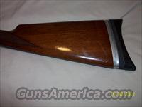 Simmons Quails Fargo  Savage Shotguns