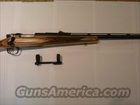 Remington 673  Remington Rifles - Modern > Bolt Action Non-Model 700 > Sporting